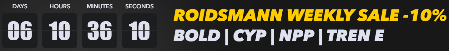 13.png