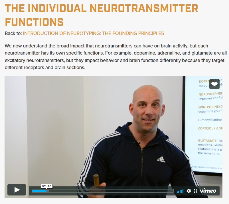 2. The individual neurotransmitter functions.jpg