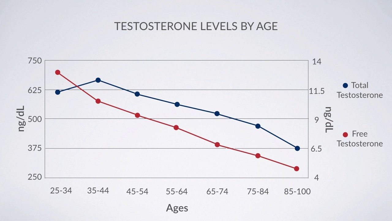 Testo.jpg