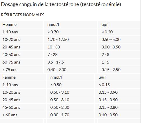 testo.jpg