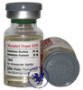 mastabol200.jpg