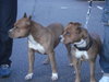 DSC00748.JPG
