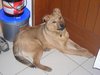 DSCN1666.jpg