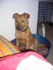 DSCN1662.jpg