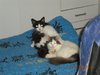 DSCN1373.jpg