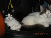 DSCN1397.jpg