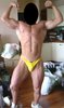 musclesenmetal.jpg