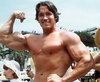 Arnold-Schwarzenegger-bodybuilding.jpg