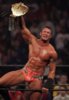 orton-belt2-ss04_display_image.jpg