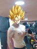 shape actuelle.jpg