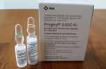 pregnyl-injection-500x500-500x500-1.jpg
