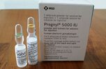 pregnyl-injection-500x500-500x500-1.jpg