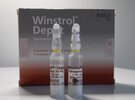 WINSTROL DESMA 3 AMP BOX.jpg