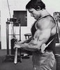 TRICEPS%20PRESS%20%20DOWN.jpg TRICEPS%20PRESS%20%20DOWN.jpg
