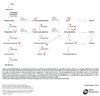 cahcongenitaladrenalhyp.jpg cahcongenitaladrenalhyp.jpg