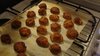 DSC01687.jpg