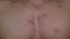 TORSE.JPG