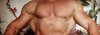 Pec déchiré.jpg