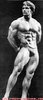 gallery_496_4_25600.jpg