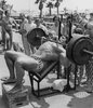 arnold-incline.jpg