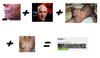 gear.jpg