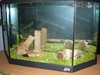 DSCN0309.jpg