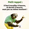 BadWolf31