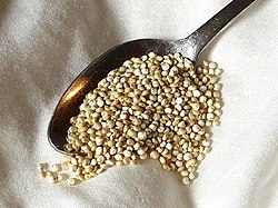 250px-Quinoa.jpg