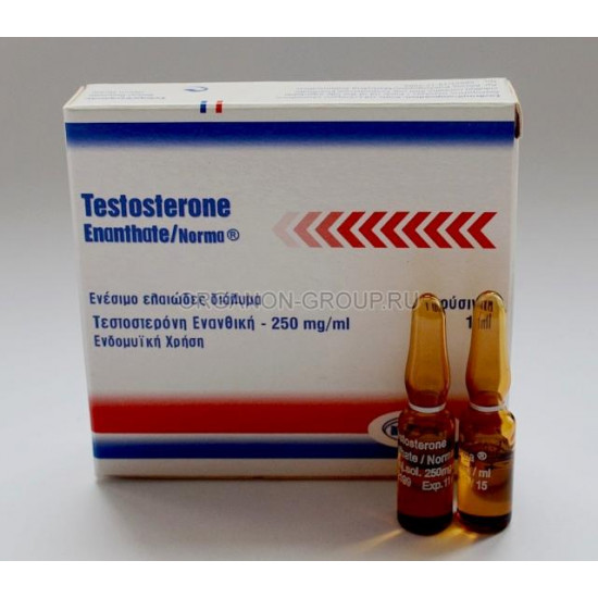 1382536657_Testosterone-Enanthate-Norma-550x550w.JPG