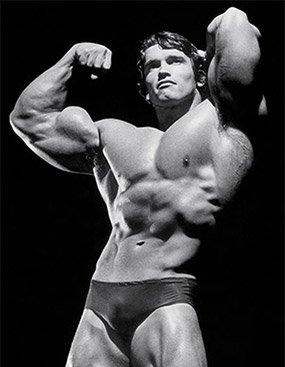 31-arnold-approved-training-tips-graphics-general-training-tips3.jpg
