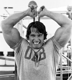 15-arnold-schwarzenegger-triceps-seat.jpg