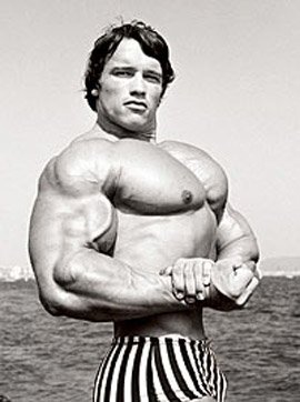 31-arnold-approved-training-tips-graphics-chest.jpg