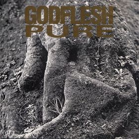 Godflesh_Pure.jpg