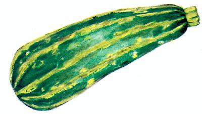 courgette.jpg