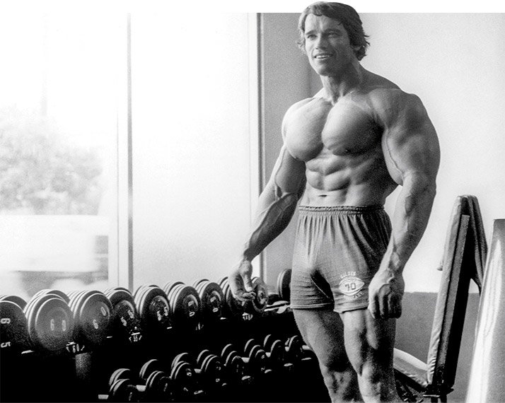 31-arnold-approved-training-tips-graphics-abs.jpg