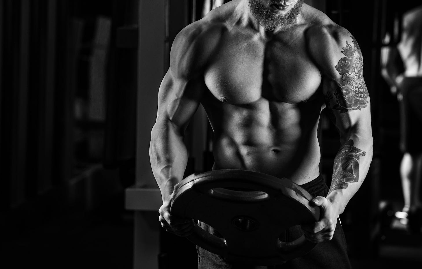 rippedbody.com