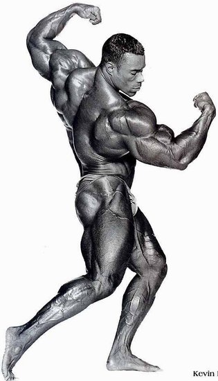 Levrone_09.jpg