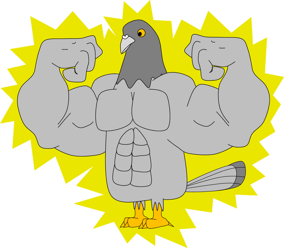 muscle_pigeon_by_beats0me-d856id2.png