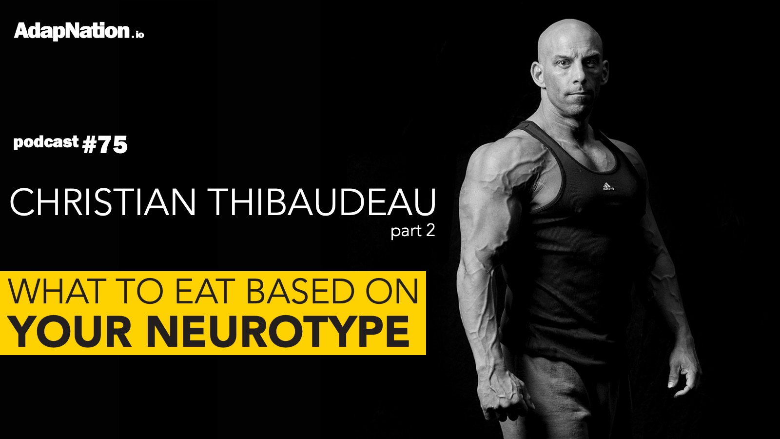 75-What-to-Eat-Based-on-Your-Neurotype-Christian-Thibaudeau.jpg