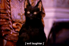 Black_cat_laughing_evilly_GIF_medium.gif