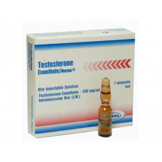 12_73_testosteron-enonthate-550x550w.jpg