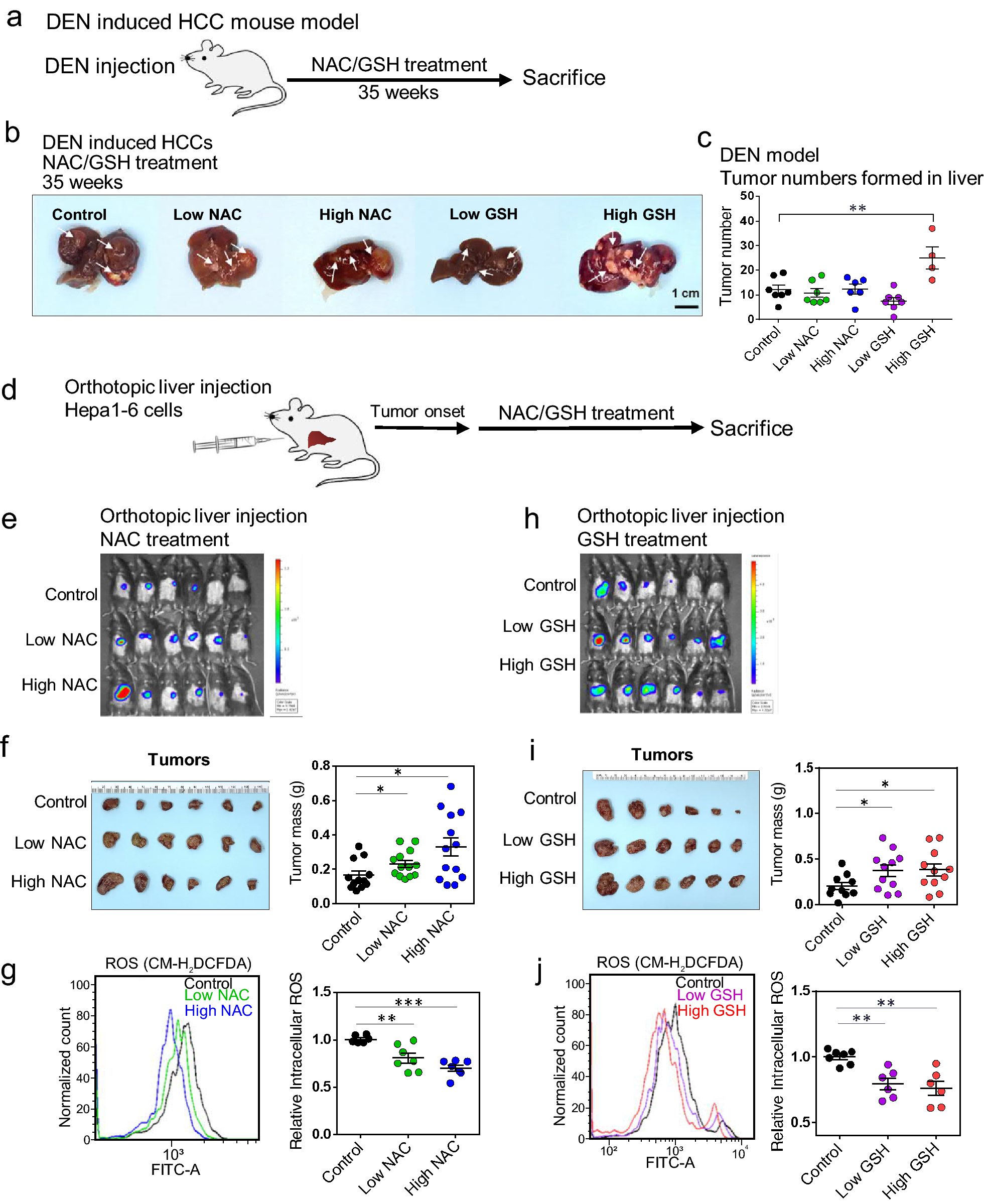 cellandbioscience.biomedcentral.com