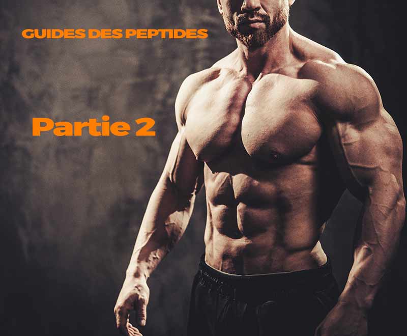 guide peptides 2